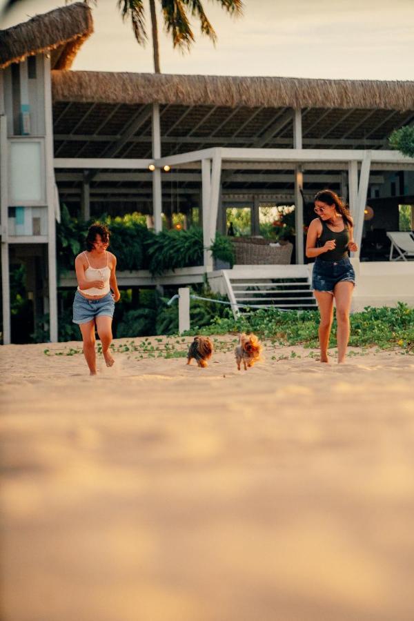 Beach Houses Moitas Amontada Exterior foto